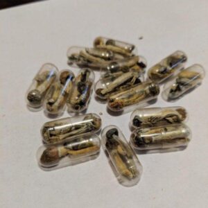 Psilocybin Mushroom Capsules Mixed